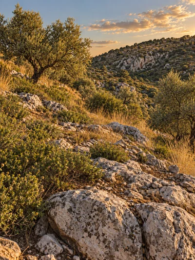 Illustrazione AI: rocce calcaree e vegetazione mediterranea, non una veduta documentaria.